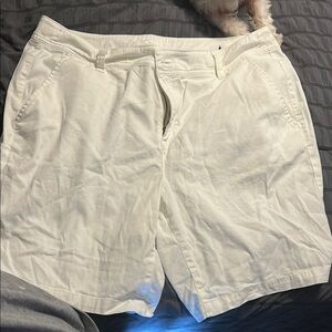 Lane Bryant White Bermuda Shorts Cotton Blend